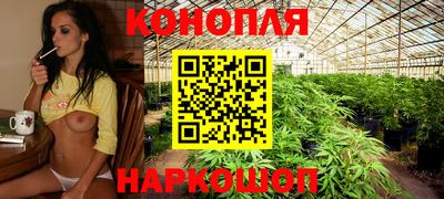 стафф Краснодар
