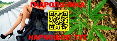 стафф Краснодар